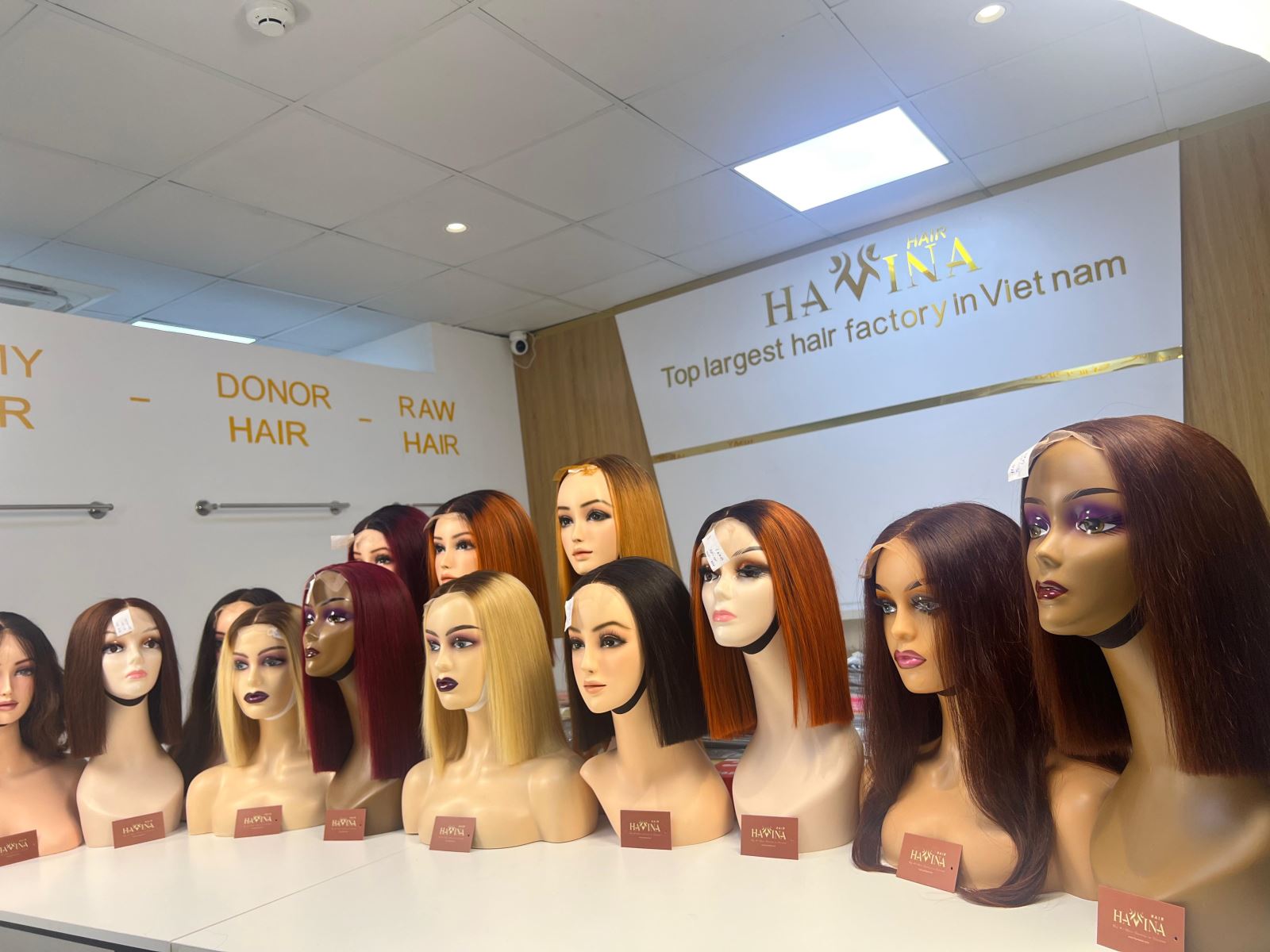 Human Hair Wigs made by Havina Hair Factory